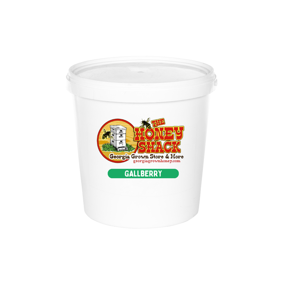 Gallberry Honey - 5 Gallon Bucket