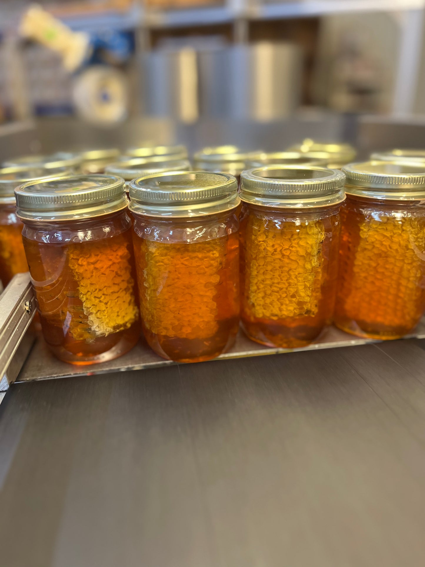 WS Case 22 OZ NO LABELS Wildflower with Comb
