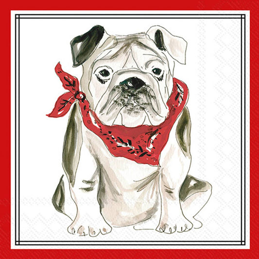 BI - Pack of 20 Red Bulldog Hometown Pride - Cocktail Napkin